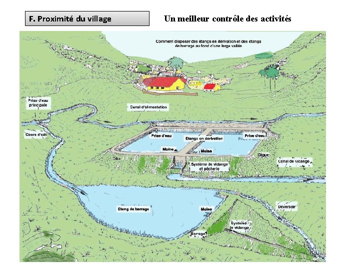 F. Proximité du village Un meilleur contrôle des activités 