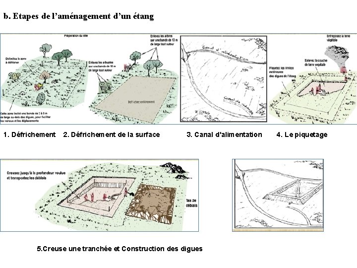 b. Etapes de l’aménagement d’un étang 1. Défrichement 2. Défrichement de la surface 3.