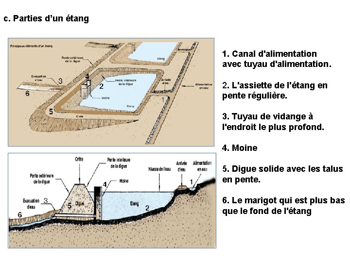 c. Parties d’un étang 1. Canal d'alimentation avec tuyau d'alimentation. 2. L'assiette de l'étang