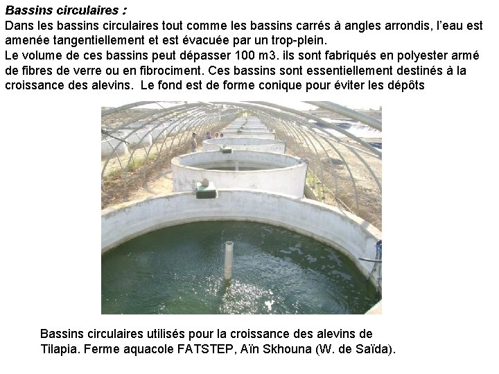 Bassins circulaires : Dans les bassins circulaires tout comme les bassins carrés à angles