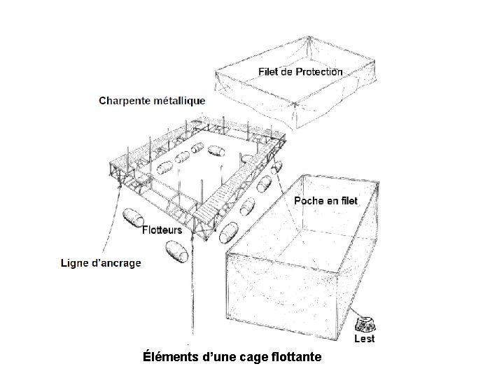 Éléments d’une cage flottante 