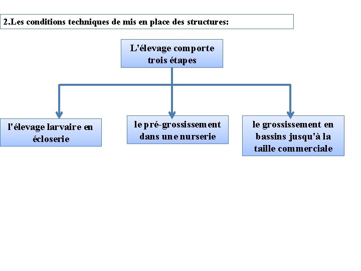 2. Les conditions techniques de mis en place des structures: L'élevage comporte trois étapes