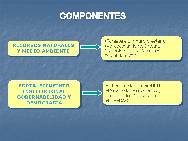 COMPONENTES RECURSOS NATURALES Y MEDIO AMBIENTE FORTALECIMEINTO INSTITUCIONAL GOBERNABILIDAD Y DEMOCRACIA • Forestereia y