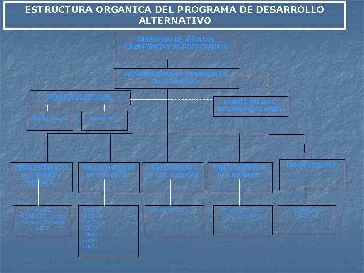 ESTRUCTURA ORGANICA DEL PROGRAMA DE DESARROLLO ALTERNATIVO MINISTERIO DE ASUNTOS CAMPESINOS Y AGROPECUARIOS VICEMINISTERIO