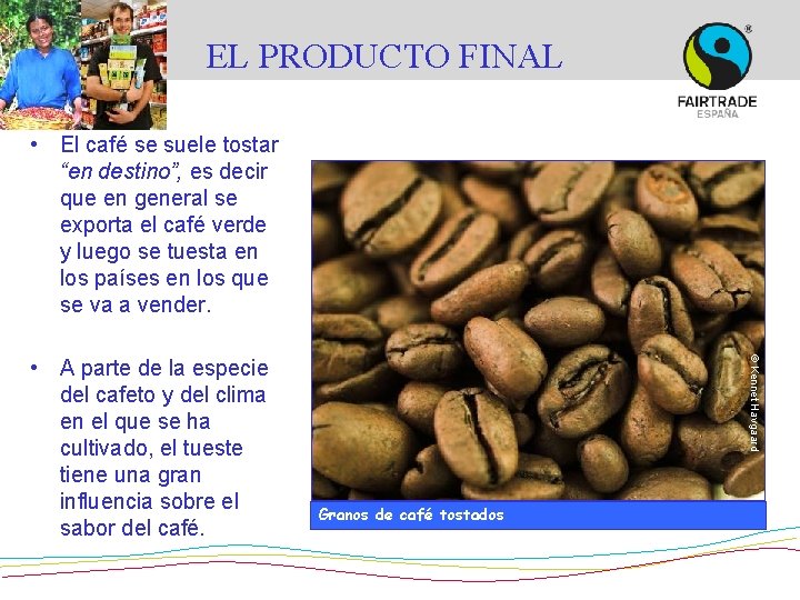 EL PRODUCTO FINAL • El café se suele tostar “en destino”, es decir que