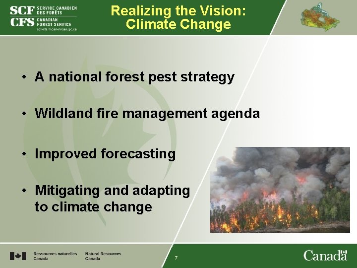 Realizing the Vision: Climate Change • A national forest pest strategy • Wildland fire