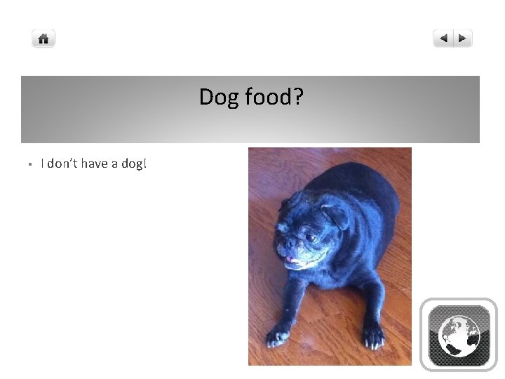 Dog food? § I don’t have a dog! 