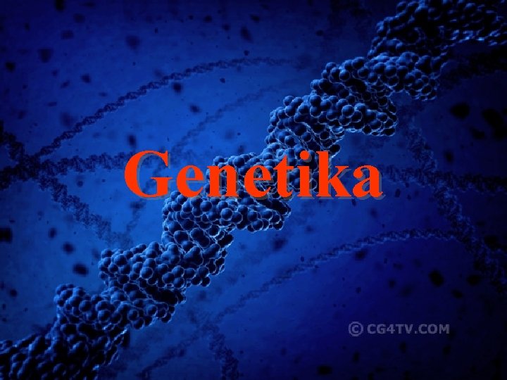 Genetika 