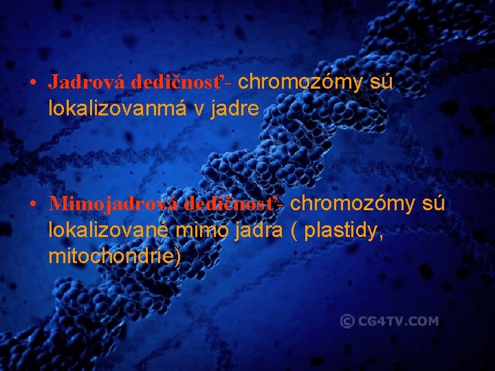  • Jadrová dedičnosť- chromozómy sú lokalizovanmá v jadre • Mimojadrová dedičnosť- chromozómy sú