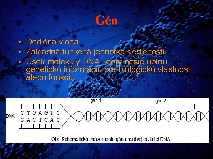 Gén • Dedičná vloha • Základná funkčná jednotka dedičnosti • Úsek molekuly DNA, ktorý