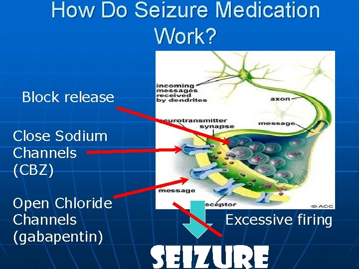 How Do Seizure Medication Work? Block release Close Sodium Channels (CBZ) Open Chloride Channels How Do Seizure Medication Work? Block release Close Sodium Channels (CBZ) Open Chloride Channels
