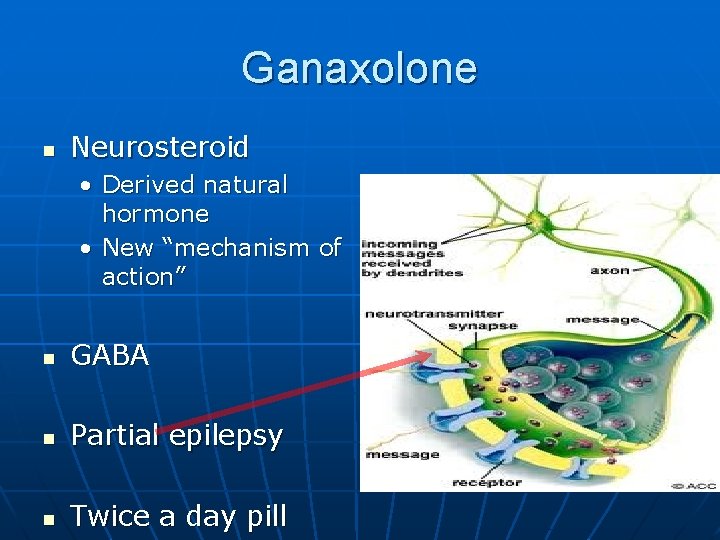 Ganaxolone n Neurosteroid • Derived natural hormone • New “mechanism of action” n GABA Ganaxolone n Neurosteroid • Derived natural hormone • New “mechanism of action” n GABA