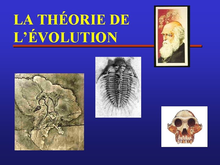 LA THÉORIE DE L’ÉVOLUTION 