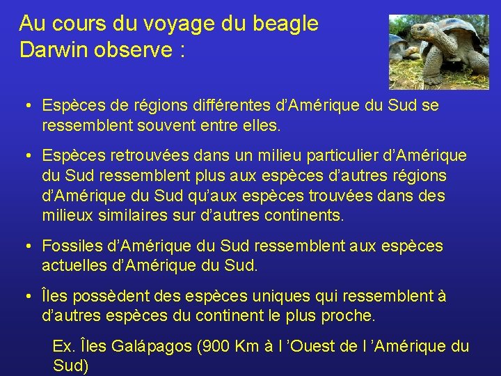 Au cours du voyage du beagle Darwin observe : • Espèces de régions différentes