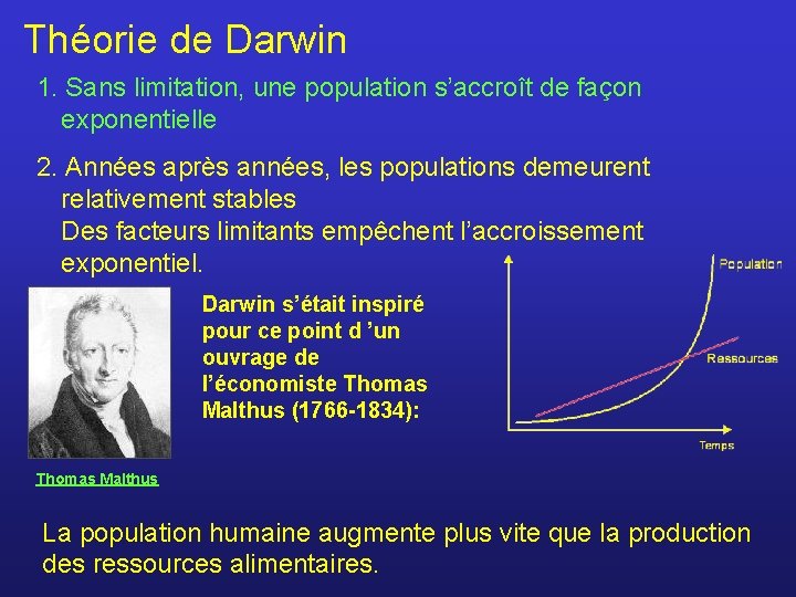 Théorie de Darwin 1. Sans limitation, une population s’accroît de façon exponentielle 2. Années