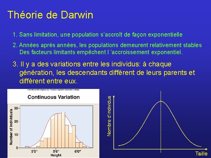 Théorie de Darwin 1. Sans limitation, une population s’accroît de façon exponentielle 2. Années