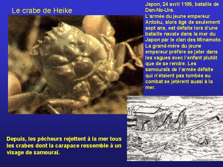 Le crabe de Heike Depuis, les pêcheurs rejettent à la mer tous les crabes