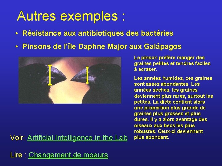 Autres exemples : • Résistance aux antibiotiques des bactéries • Pinsons de l’île Daphne