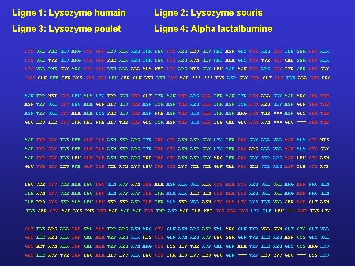 Ligne 1: Lysozyme humain Ligne 2: Lysozyme souris Ligne 3: Lysozyme poulet Ligne 4: