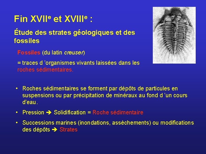 Fin XVIIe et XVIIIe : Étude des strates géologiques et des fossiles Fossiles (du