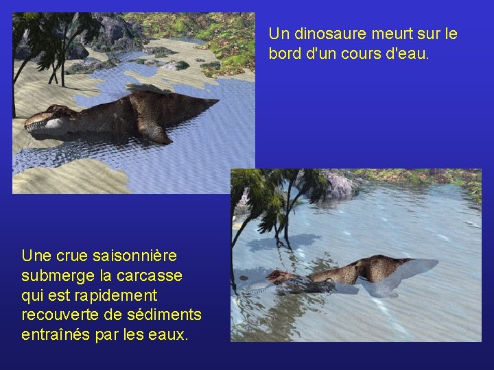 Un dinosaure meurt sur le bord d'un cours d'eau. Une crue saisonnière submerge la