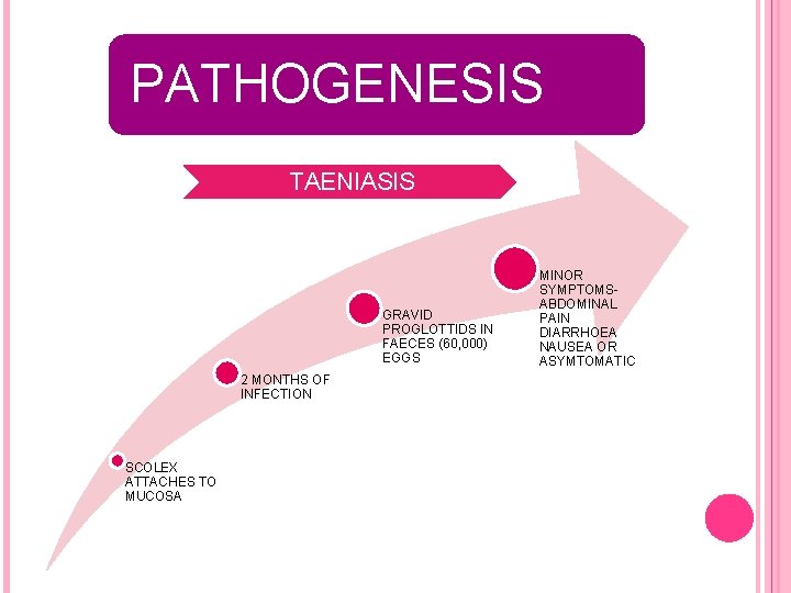 PATHOGENESIS TAENIASIS GRAVID PROGLOTTIDS IN FAECES (60, 000) EGGS MINOR SYMPTOMSABDOMINAL PAIN DIARRHOEA NAUSEA