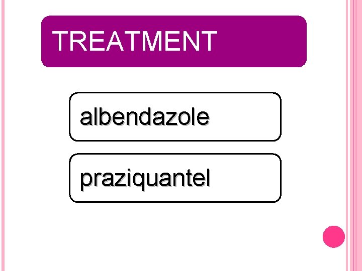 TREATMENT albendazole praziquantel 