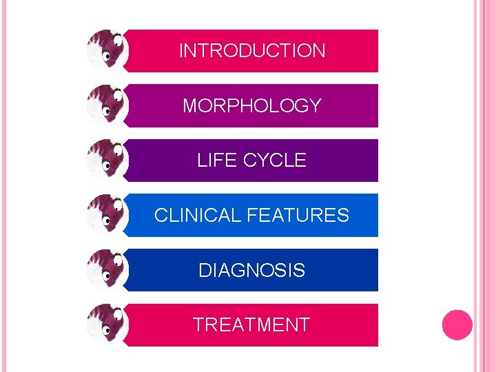 INTRODUCTION MORPHOLOGY LIFE CYCLE CLINICAL FEATURES DIAGNOSIS TREATMENT 