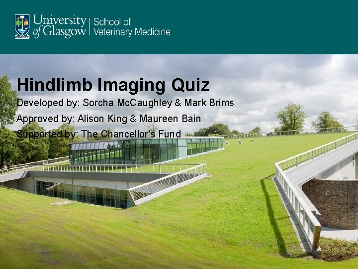 Hindlimb Imaging Quiz Developed by: Sorcha Mc. Caughley & Mark Brims Approved by: Alison