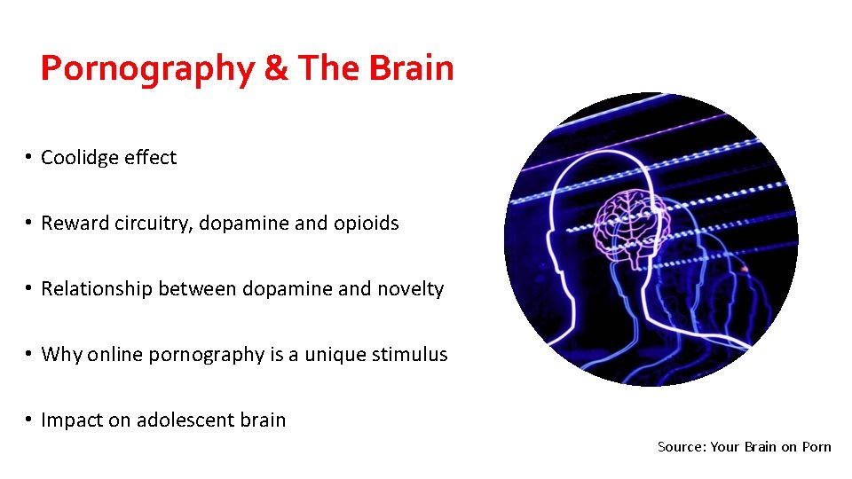 Pornography & The Brain • Coolidge effect • Reward circuitry, dopamine and opioids •