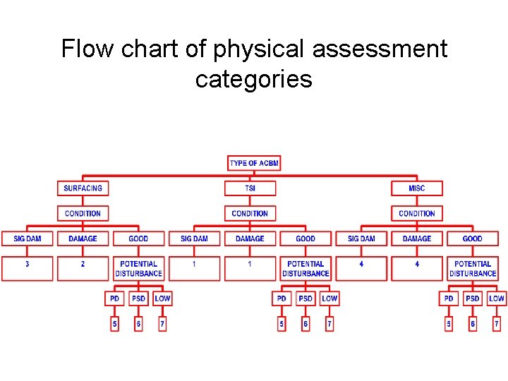 Flow chart of physical assessment categories 