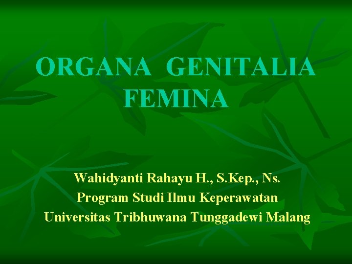 ORGANA GENITALIA FEMINA Wahidyanti Rahayu H. , S. Kep. , Ns. Program Studi Ilmu