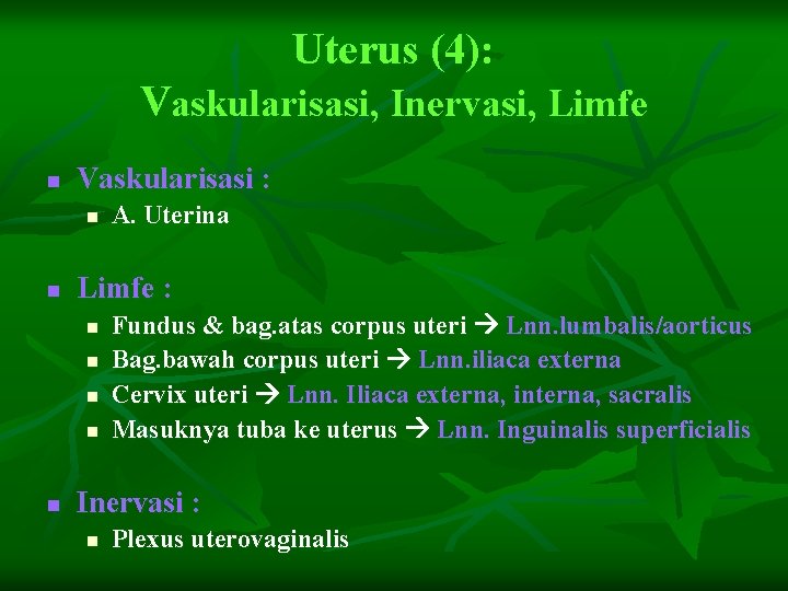 Uterus (4): Vaskularisasi, Inervasi, Limfe n Vaskularisasi : n n Limfe : n n