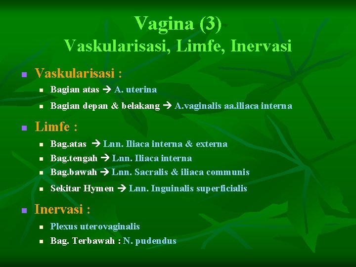 Vagina (3) Vaskularisasi, Limfe, Inervasi n n Vaskularisasi : n Bagian atas A. uterina