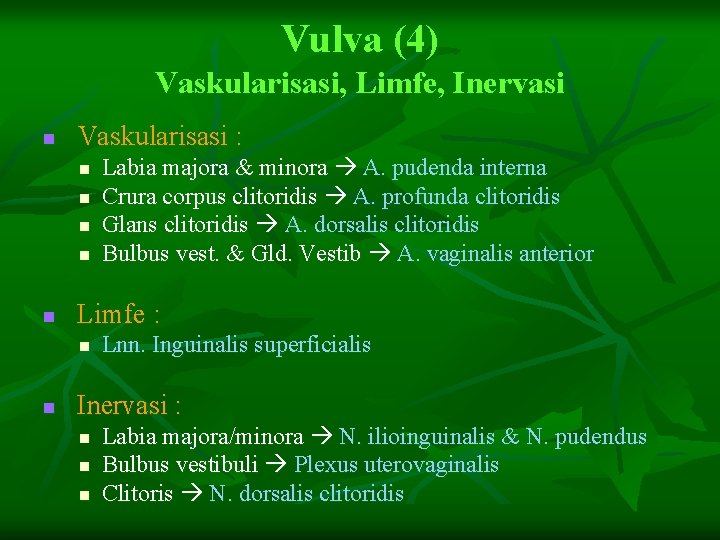 Vulva (4) Vaskularisasi, Limfe, Inervasi n Vaskularisasi : n n n Limfe : n