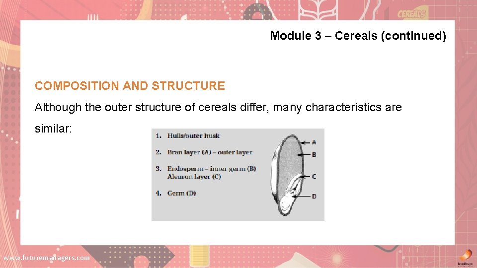 Module 3 – Cereals (continued) COMPOSITION AND STRUCTURE Although the outer structure of cereals Module 3 – Cereals (continued) COMPOSITION AND STRUCTURE Although the outer structure of cereals