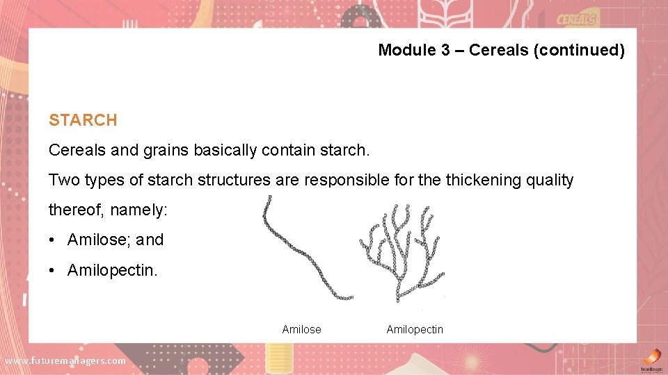 Module 3 – Cereals (continued) STARCH Cereals and grains basically contain starch. Two types Module 3 – Cereals (continued) STARCH Cereals and grains basically contain starch. Two types