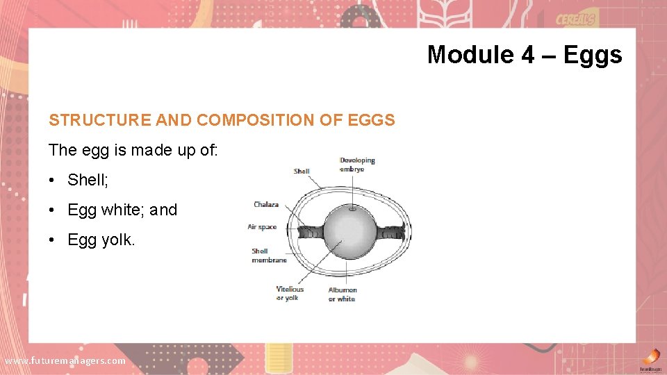 Module 4 – Eggs STRUCTURE AND COMPOSITION OF EGGS The egg is made up Module 4 – Eggs STRUCTURE AND COMPOSITION OF EGGS The egg is made up