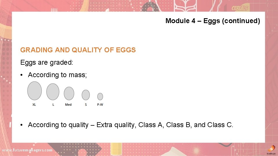 Module 4 – Eggs (continued) GRADING AND QUALITY OF EGGS Eggs are graded: • Module 4 – Eggs (continued) GRADING AND QUALITY OF EGGS Eggs are graded: •