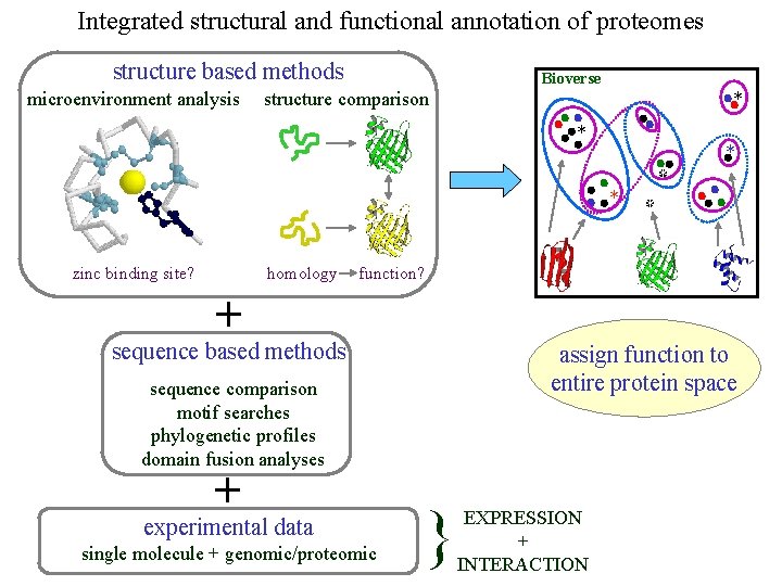 Integrated structural and functional annotation of proteomes structure based methods microenvironment analysis Bioverse structure