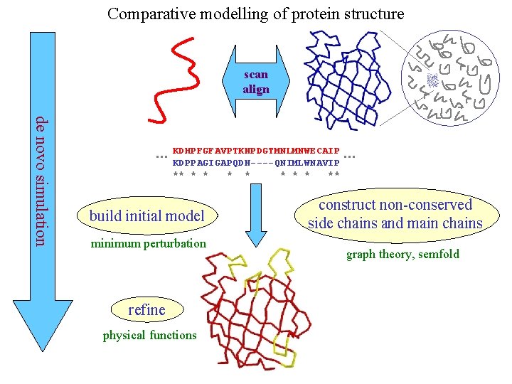 Comparative modelling of protein structure scan align de novo simulation … KDHPFGFAVPTKNPDGTMNLMNWECAIP KDPPAGIGAPQDN----QNIMLWNAVIP **