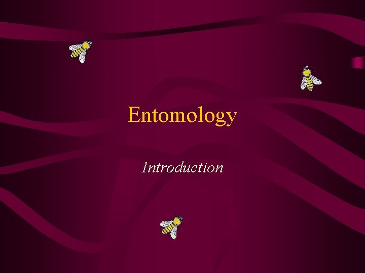 Entomology Introduction 