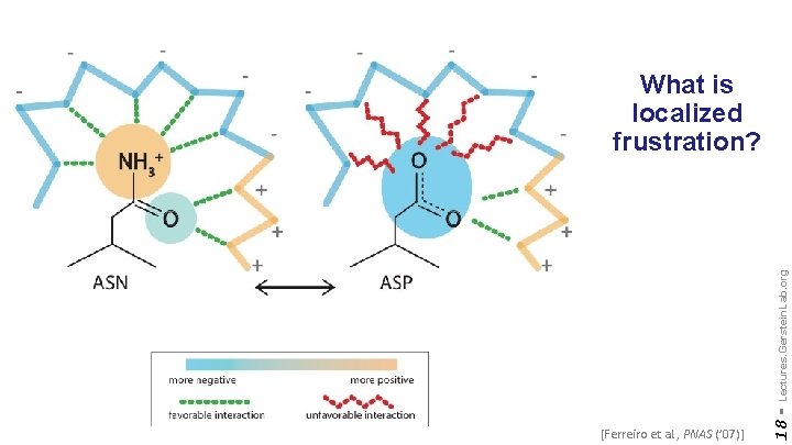 [Ferreiro et al. , PNAS (’ 07)] 18 - Lectures. Gerstein. Lab. org What