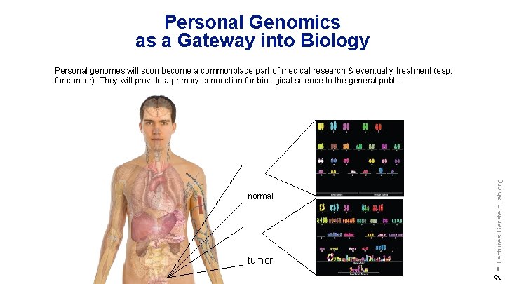 Personal Genomics as a Gateway into Biology tumor 2 - normal Lectures. Gerstein. Lab.