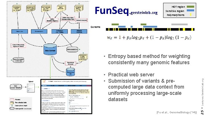 Fun. Seq. gersteinlab. org HOT region Sensitive region Polymorphisms Genome [Fu et al. ,