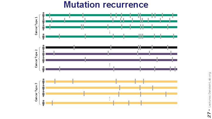 27 - Lectures. Gerstein. Lab. org Cancer Type 3 Cancer Type 2 Cancer Type