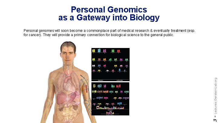 Personal Genomics as a Gateway into Biology 3 - Lectures. Gerstein. Lab. org Personal