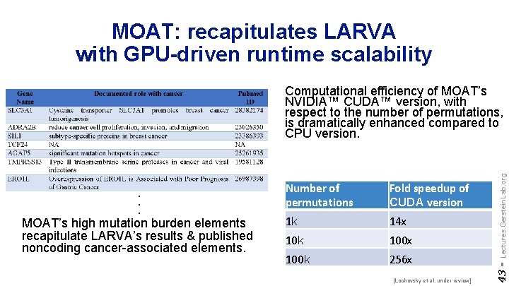 MOAT: recapitulates LARVA with GPU-driven runtime scalability Number of permutations Fold speedup of CUDA
