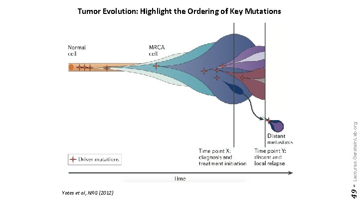 Yates et al, NRG (2012) 49 - Lectures. Gerstein. Lab. org Tumor Evolution: Highlight