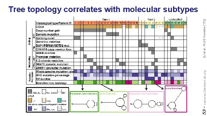 53 - Lectures. Gerstein. Lab. org [Li et al. , PLOS Genetics (‘ 17)]